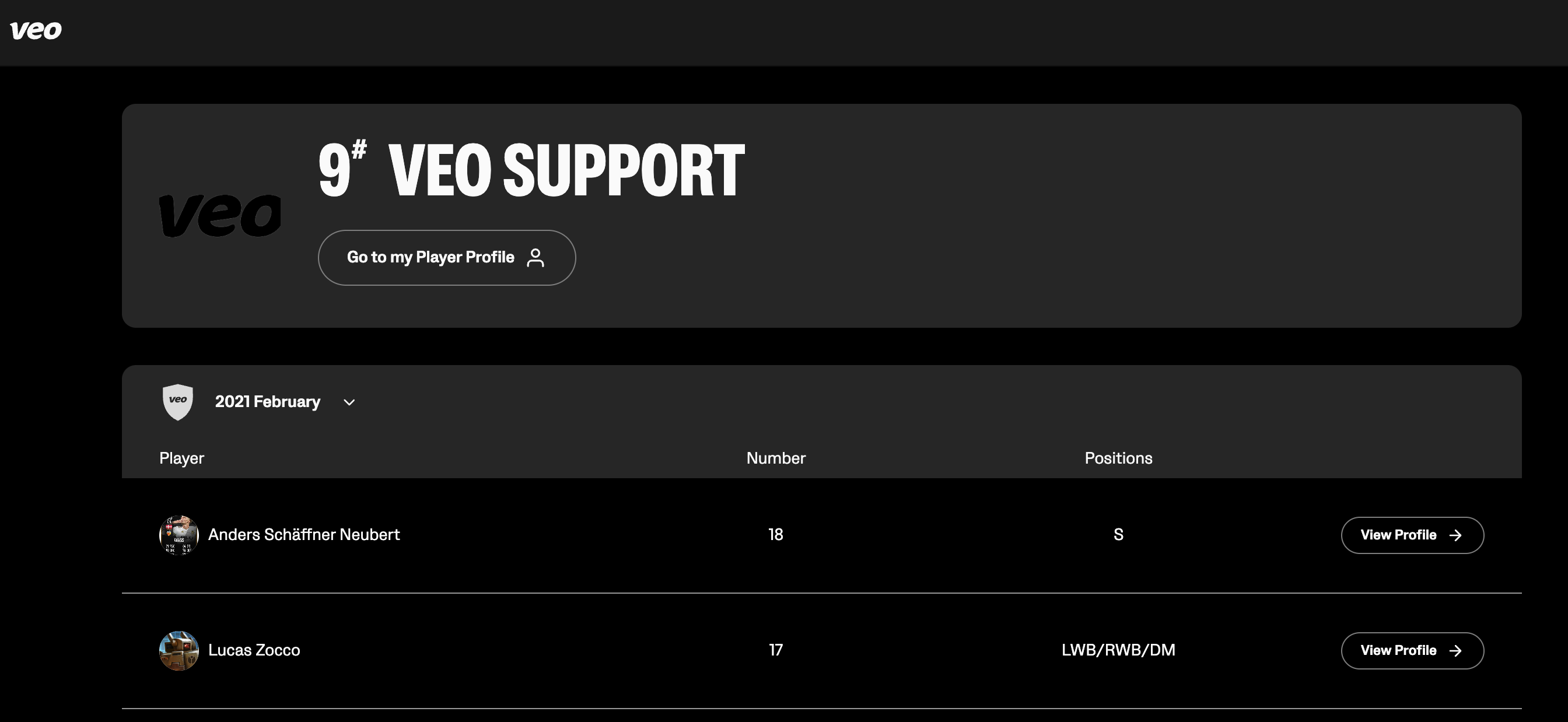 PP landing page.png